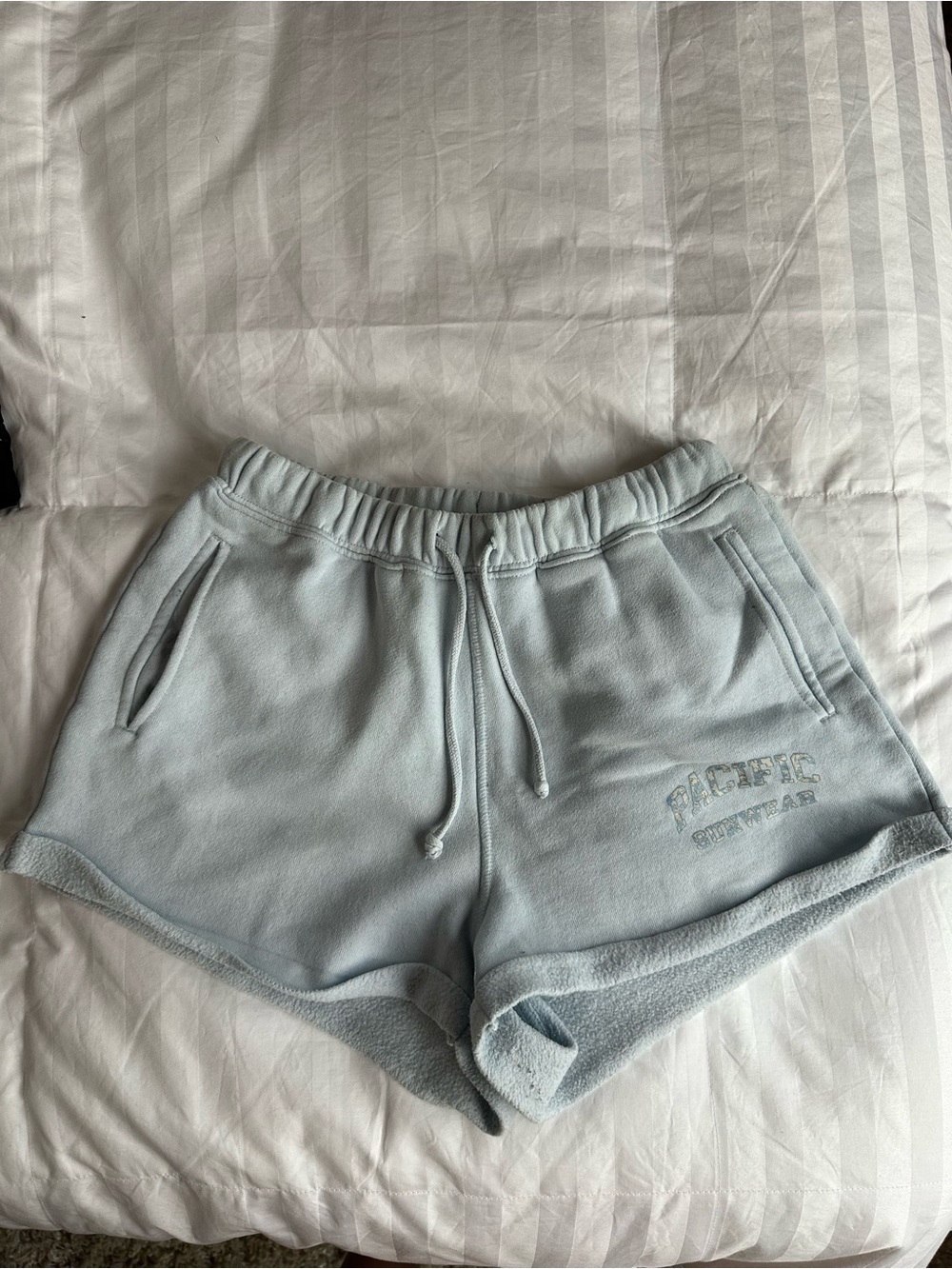 PacSun Light Blue Fleece Shorts